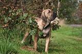 FILA BRASILEIRO 012